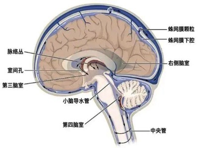 图片14-2