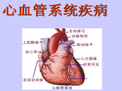 微信截图_20230919144640