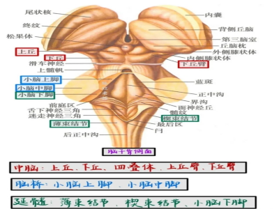 微信截图_20240530135558