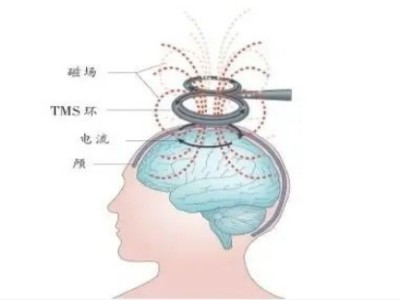 微信截图_20241018110809