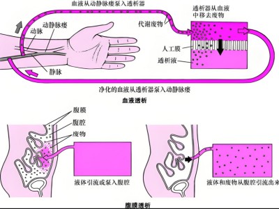 微信截图_20241114165114